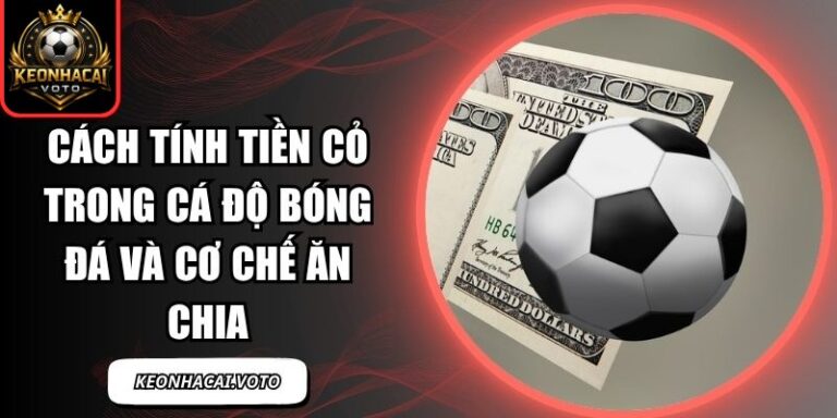 Cách tính tiền cỏ trong cá độ bóng đá