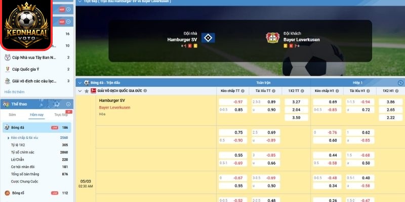 Kèo tài xỉu trận Hamburger SV vs Bayer Leverkusen (02:30 ngày 05/03| Bundesliga)